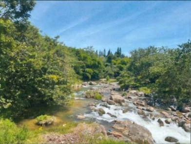 ドミニカ　ラミレス農園　ハラバコア