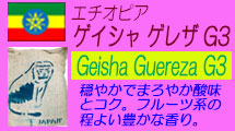 エチオピア ゲイシャ ゲレザ G３｜コーヒー通販・ブルボンコーヒー