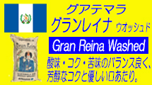 グアテマラ　グランレイナ　アヤルサ　ウオッシュド