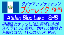 グアテマラ アティトラン ブルーレイク SHB