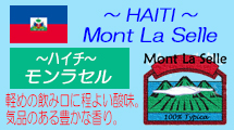 ハイチ　モンラセル　１００％ティピカ　バナー