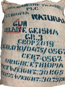 エチオピア ゲイシャ ゲレザ G３　｜コーヒー通販・ブルボンコーヒー
