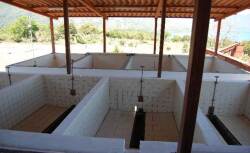 グアテマラ　アティトラン　ブルーレイク　SHB　