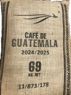 グアテマラ　アティトラン　ブルーレイク　SHB　