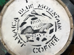 ブルーマウンテンNo.1