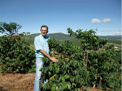 ブラジル さくらブルボン│ コーヒー通販・ブルボンコーヒー