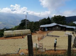 コロンビア　ピコ　シエラネバダ