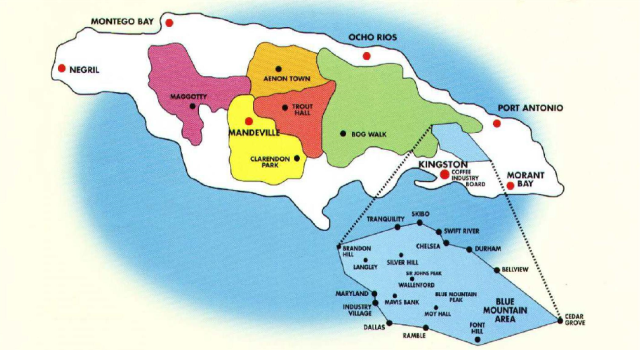 ジャマイカ　ブルーマウンテン地区