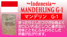 インドネシア　マンデリンG-1　