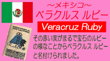 メキシコ　ベラクルス　ルビー　SHG