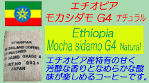 エチオピア　モカシダモ　G4 ナチュラル