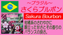 ブラジル さくらブルボン│ コーヒー通販・ブルボンコーヒー