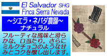 エルサルバドル　SHD　シエラ・ネバダ農園　ナチュラル