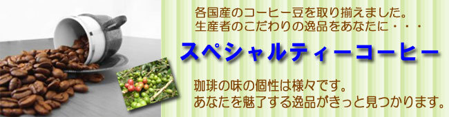 スペシャルティコーヒー　グルメコーヒー　コーヒー通販・ブルボンコーヒー